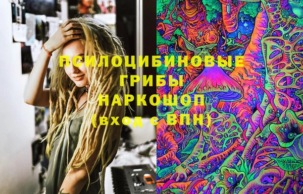 spice Новодвинск