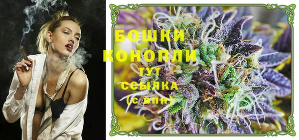 spice Новодвинск