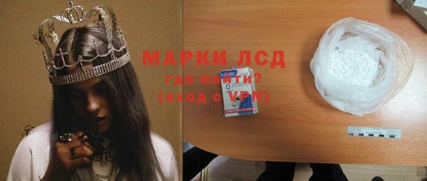 индика Абаза