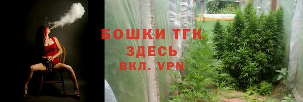 индика Абаза