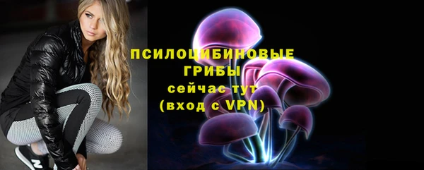 spice Новодвинск