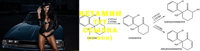 spice Новодвинск