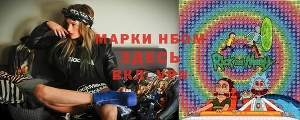 индика Абаза
