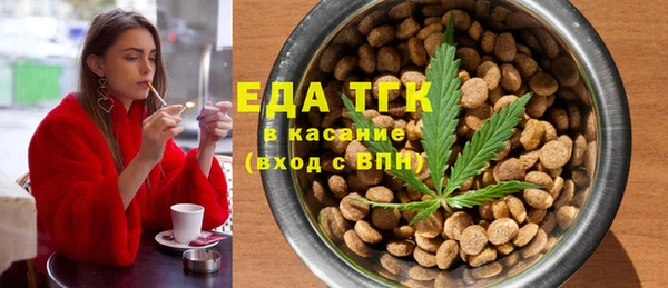 стаф Новозыбков