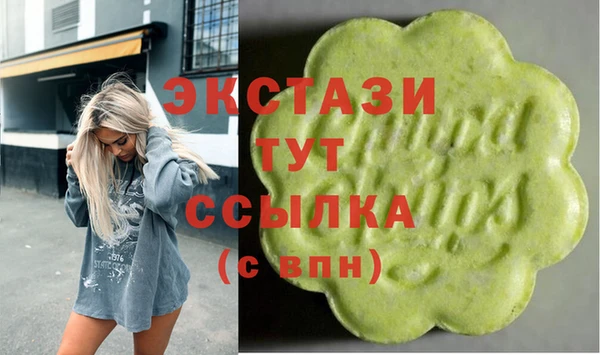 стаф Новозыбков