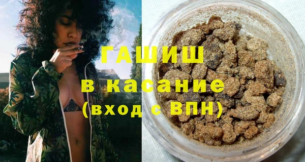 стаф Новозыбков