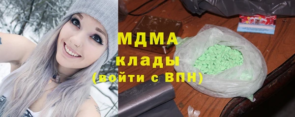 индика Абаза