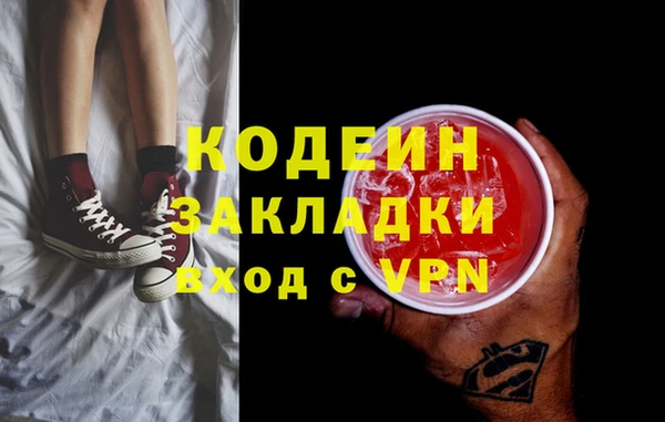индика Абаза