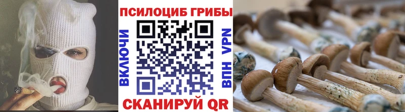 наркошоп  Дубовка  Галлюциногенные грибы мицелий 